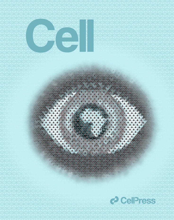 Cover Art for Verma Lab - Cell