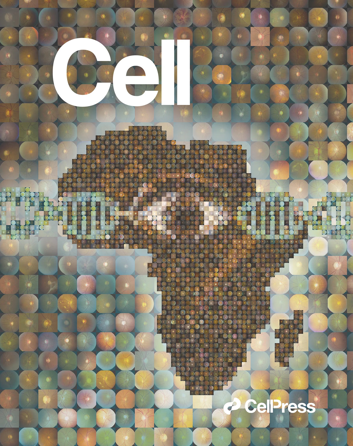 Cover Art for Verma Lab - Cell