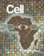 Cover Art for Verma Lab - Cell
