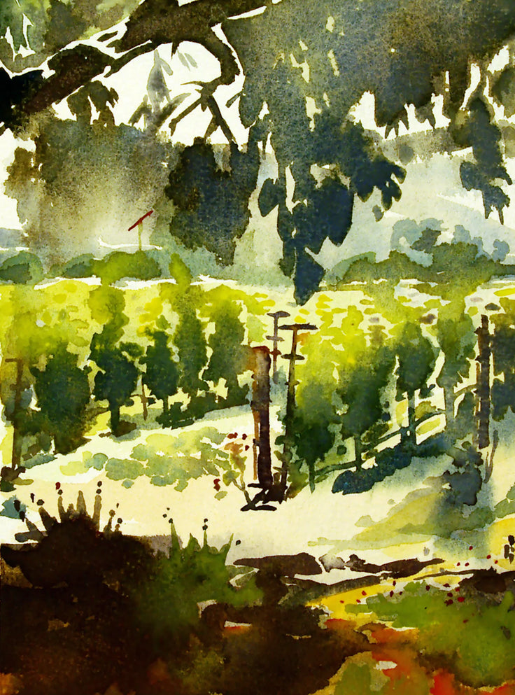 Heitz Vineyard
