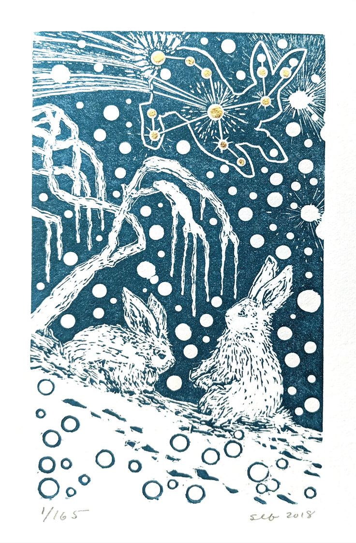 Starlight and Snow