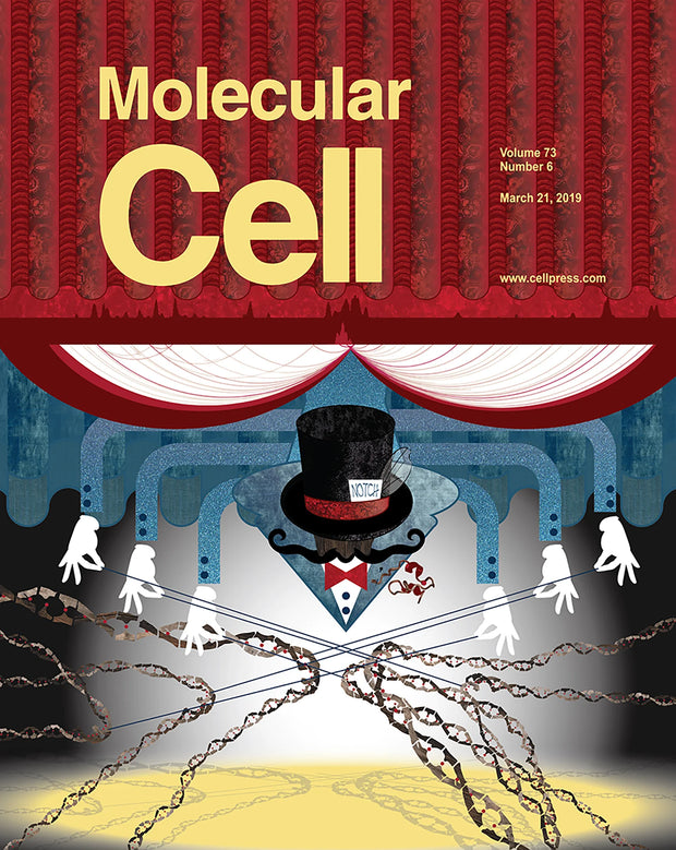 Cover Art for Faryabi Lab - Molecular Cell
