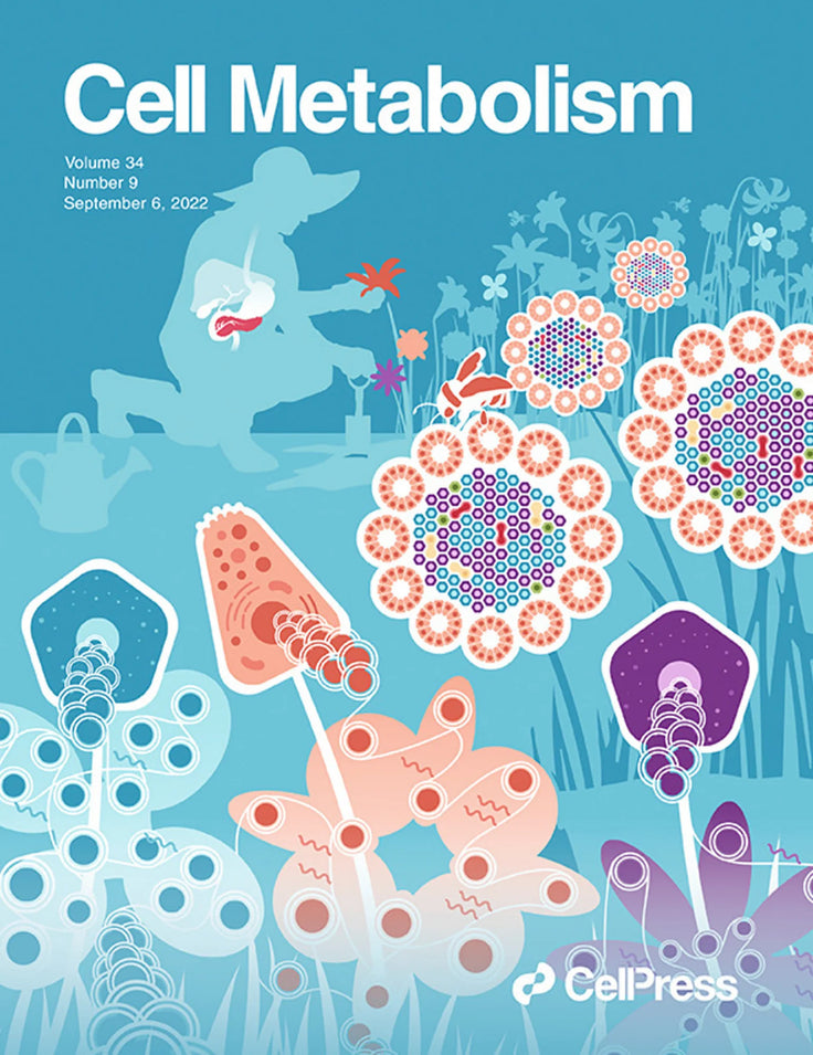 Cover Art for Kaestner Lab - Cell Metabolism