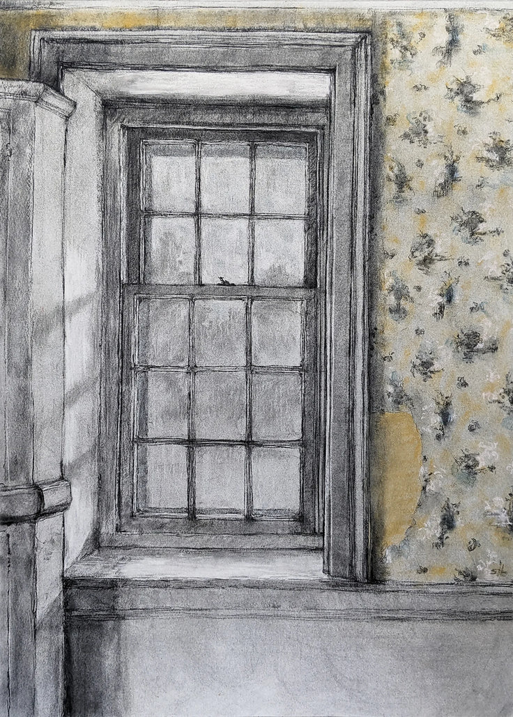 Torn Paper