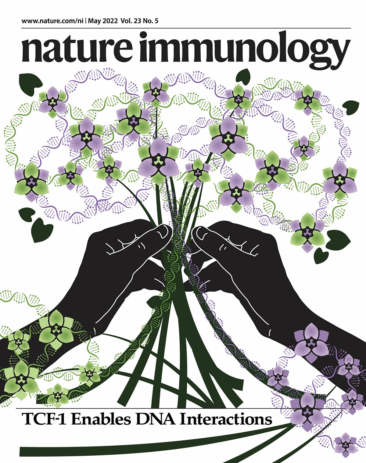 Cover Art for Vahedi Lab - Nature Immunology