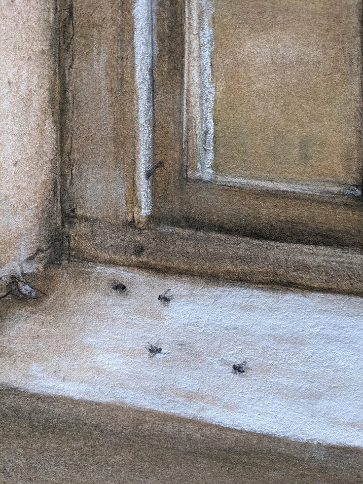 The Spider and the Flies