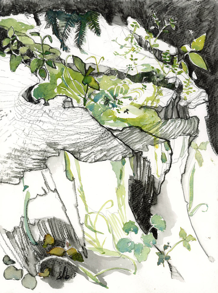 Study of Summer Eden