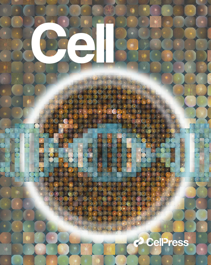 Cover Art for Verma Lab - Cell
