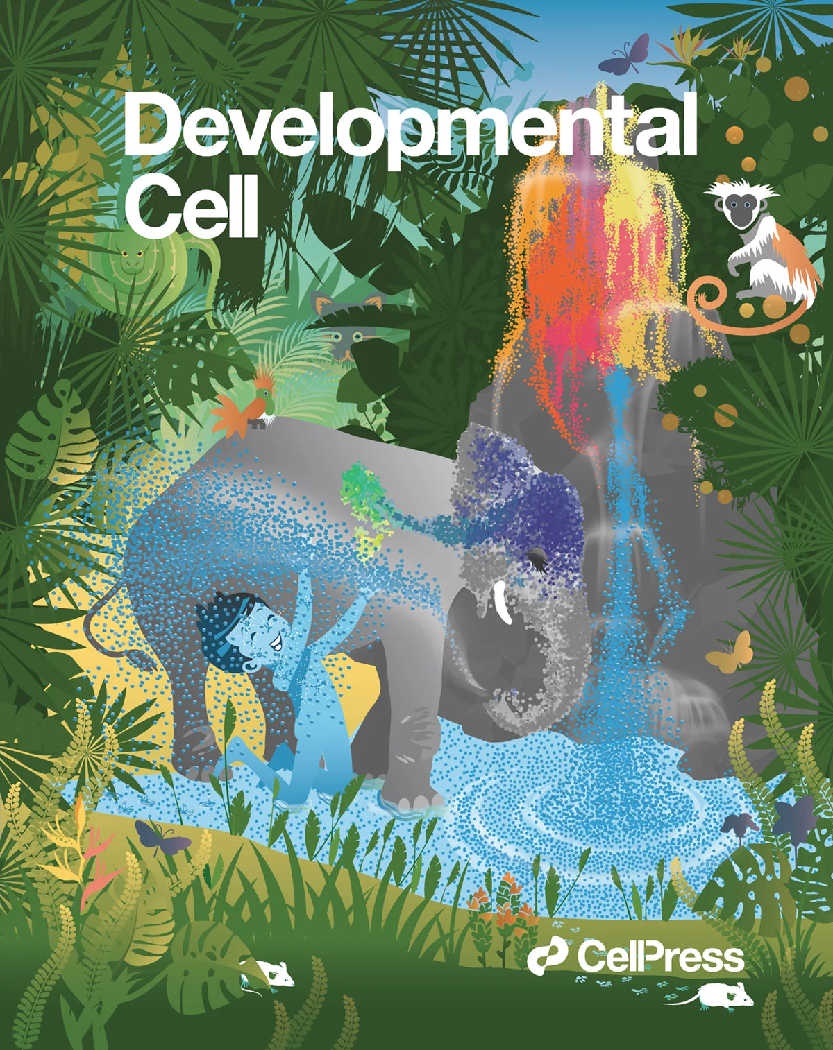 Cover Art for Kamberov Lab - Developmental Cell