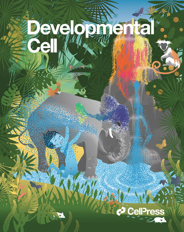 Cover Art for Kamberov Lab - Developmental Cell